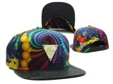 HATER Snapbacks (109)