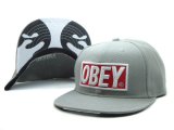 GORRAS OBEY [DSC15004]