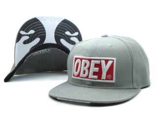GORRAS OBEY [DSC15004]