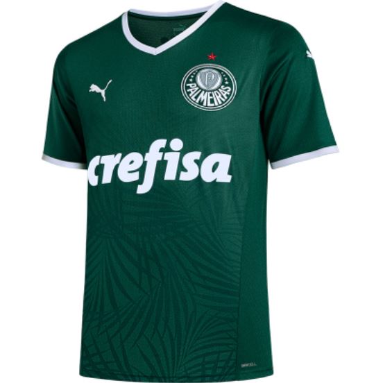 Palmeiras 1a Equipación 2022 - Haga click en la imagen para cerrar